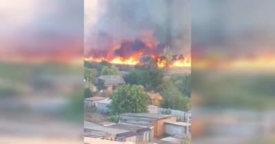 В Балаклее вспыхнул масштабный пожар, огонь приблизился к домам (видео)