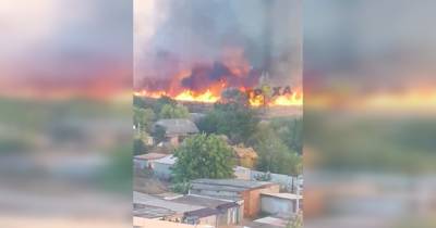 В Балаклее вспыхнул масштабный пожар, огонь приблизился к домам (видео) - focus.ua - Украина - Харьковская обл. - Балаклея