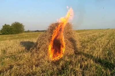 В Ростовской области горело сено