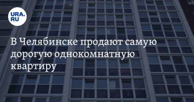 В Челябинске продают самую дорогую однокомнатную квартиру. Скрин