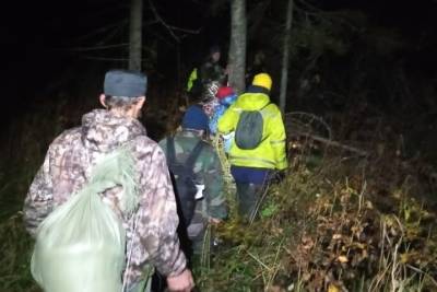 В Тверской области волонтерам пришлось использовать бобровую плотину, чтобы спасти людей