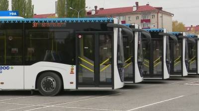 На маршруты Уфы и пригорода выйдут еще 60 новых автобусов