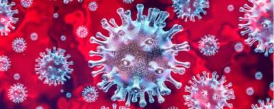 The Telegraph: ученые занимались разработкой коронавирусов еще до нынешней пандемии
