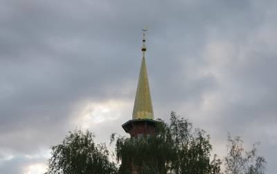 Консультативный статус при ЭКОСОС получило Духовное собрание мусульман России