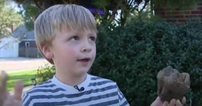 6-летний мальчик нашел гигантский зуб мастодонта: находке около 12 000 лет