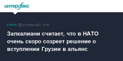 Залкалиани считает, что в НАТО очень скоро созреет решение о вступлении Грузии в альянс