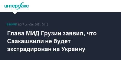 Михаил Саакашвили - Давид Залкалиани - Глава МИД Грузии заявил, что Саакашвили не будет экстрадирован на Украину - interfax.ru - Москва - Украина - Киев - Грузия - Тбилиси