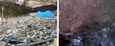 Новосибирцы достали из реки Каменка 16 мешков мусора