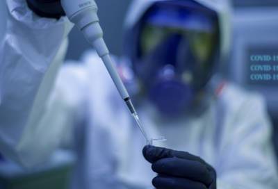 Гинцбург раскрыл срок начала испытаний единой вакцины от COVID-19 и гриппа