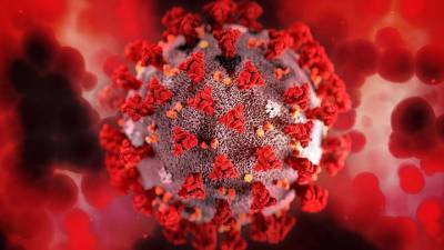Сингапурский профессор предупредил о появлении нового коронавируса - vm.ru - Сингапур