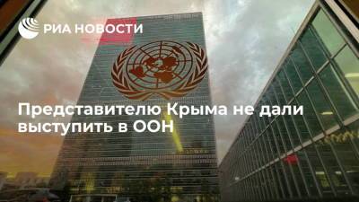 Представитель Крыма Чегринец заявил, что ему не дали выступить в ООН из-за цензуры