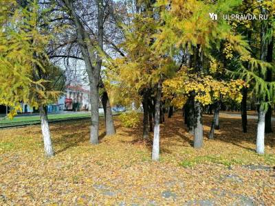 МЧС объявляет «зеленый» уровень опасности. Погода в Ульяновской области 7 октября
