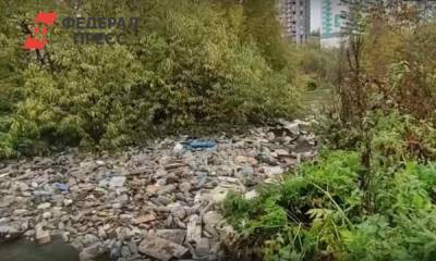 Жители Новосибирска достали из реки Каменка 16 мешков с мусором