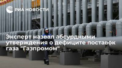 Профессор Салама назвал абсурдными обвинения в недостаточных поставках газа "Газпромом"