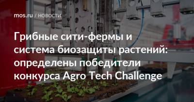 Грибные сити-фермы и система биозащиты растений: определены победители конкурса Agro Tech Challenge - mos.ru - Москва