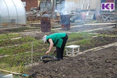 Агроном из Сыктывкара рассказал, как подготовить приусадебный участок к зиме