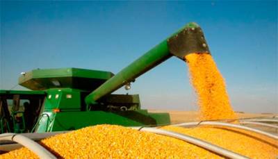 Украина уже экспортировала более 15 миллионов тонн зерна