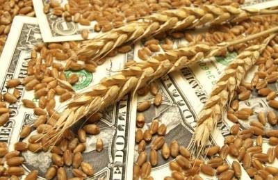 Названы ключевые особенности экспорта зерна в этом сезоне