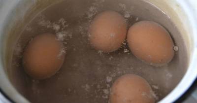 Молодые хозяйки грубо ошибаются во время варки яиц