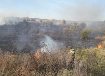 Пожарные потушили 700 квадратных метров горевшей травы