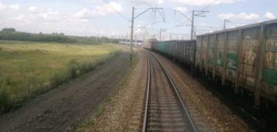 В Кузбассе грузовой поезд сбил пасущихся лошадей