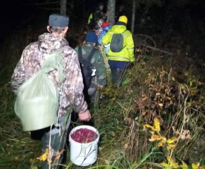 Бобровая плотина помогла волонтерам найти трех заблудившихся людей в лесу в Тверской области