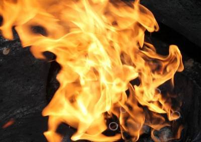 На пожаре в Рыбновском районе погиб человек