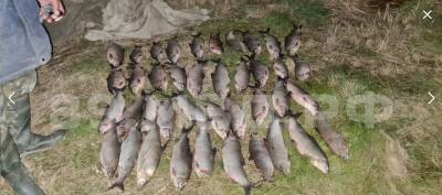 На Ямале задержаны браконьеры с ценной рыбой на сумму более ₽10 млн