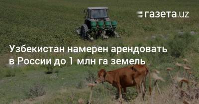 Узбекистан намерен арендовать в России до 1 млн га земель