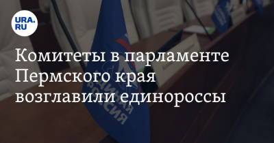 Комитеты в парламенте Пермского края возглавили единороссы