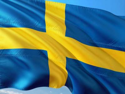 Винокуров: Желающим вступить в НАТО шведам стоит вспомнить о битве под Полтавой