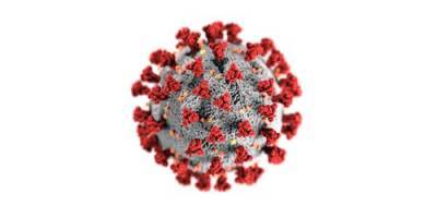 Коронавирус станет сезонным заболеваем только после выработки коллективного иммунитета