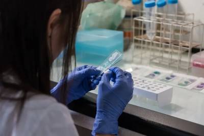 Учёные из Новосибирска разработали синтетический вирус для борьбы с ВИЧ