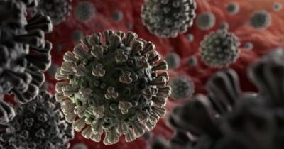 В ОРДО за одни сутки от коронавируса скончалось 70 человек