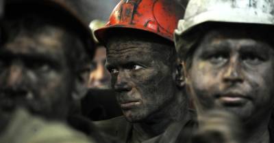 Конопля вместо шахт. Как Украине цивилизованно избавиться от шахтеров