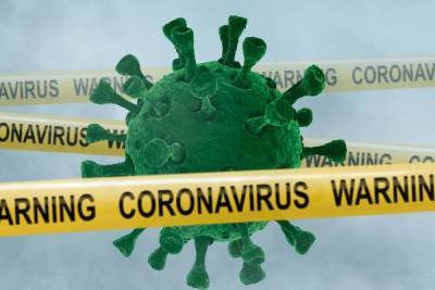 Почти 2,5 тысяч петербуржцев заразились COVID-19 за минувшие сутки