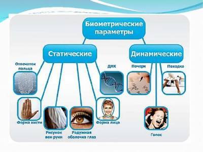 Зачем и кому нужно использование биометрии - argumenti.ru - Россия - Данные