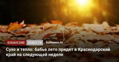 До +25 градусов: на следующей неделе в Краснодарский край придет бабье лето