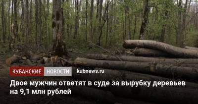 Двое мужчин ответят в суде за вырубку деревьев на 9,1 млн рублей