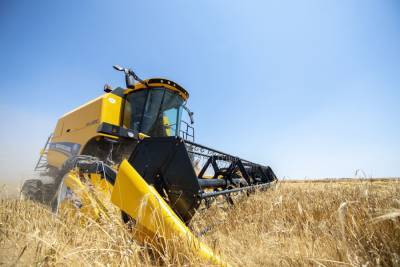 Россия за три месяца сельхозгода снизила экспорт зерна на 23%