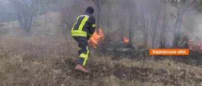 ГСЧС предупредила о чрезвычайном уровне пожарной опасности