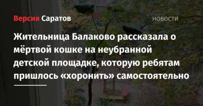 Жительница Балаково рассказала о мёртвой кошке на неубранной детской площадке, которую ребятам пришлось «хоронить» самостоятельно