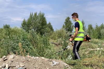 В Курганской области уничтожили около 1500 очагов наркосодержащих растений