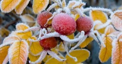 В Украину идут первые морозы: в каких регионах похолодает