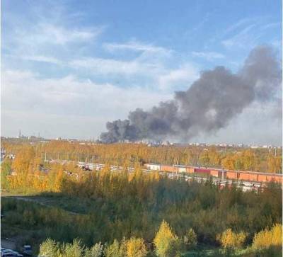 Петербуржцы обеспокоены огромными клубами дыма, нависшими над городом