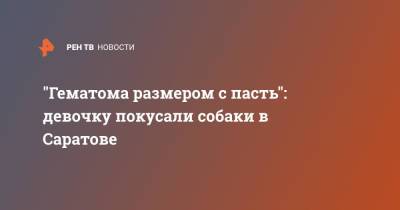 "Гематома размером с пасть": девочку покусали собаки в Саратове