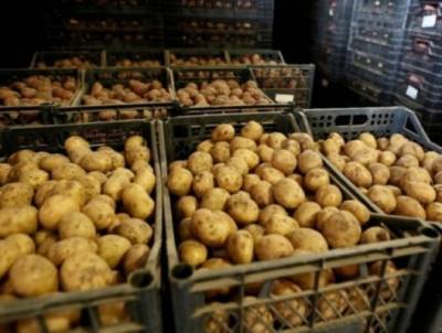 «Картофельные войны»: Азербайджан забраковал российскую агропродукцию