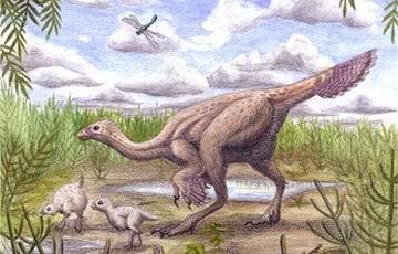 Найдены окаменелости динозавров, в которых может сохраниться их ДНК