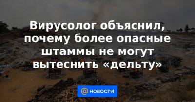 Вирусолог объяснил, почему более опасные штаммы не могут вытеснить «дельту»