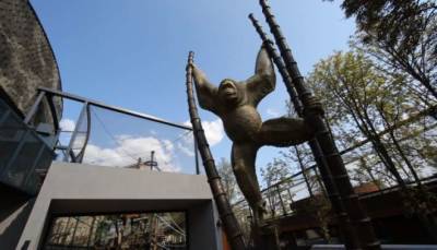 В Харькове расследуют хищение бюджетных денег на реконструкции зоопарка